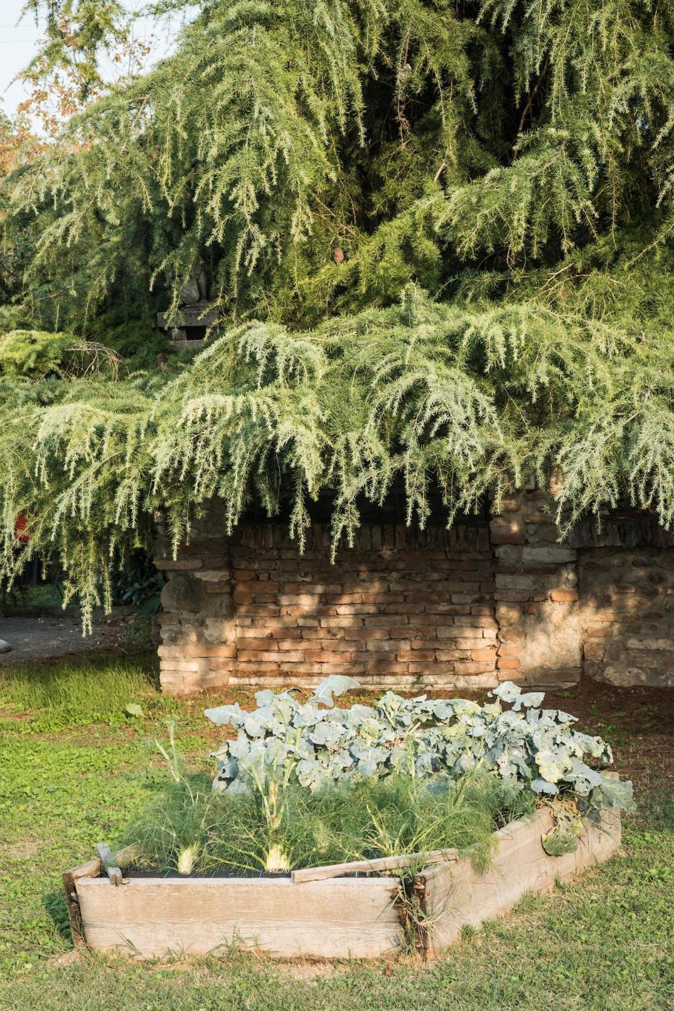 Agriturismo Beatilla Мармироло Экстерьер фото
